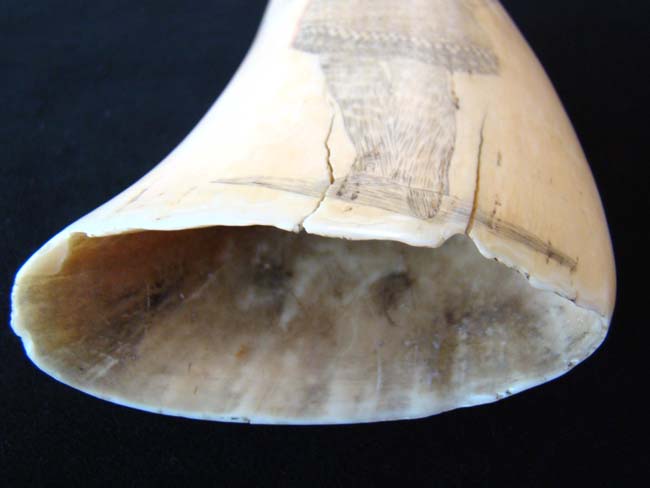 A Wonderful large 19th century Scrimshawed Whale's Tooth circa 1850 — image 3